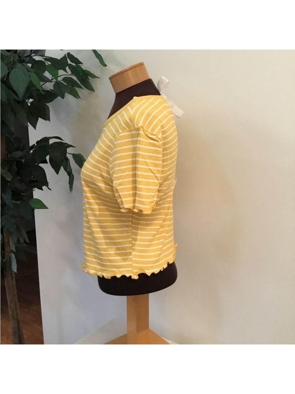 American Rag cropped short sleeve tee Woman’s Juniors size XXL stripes - Picture 14 of 14